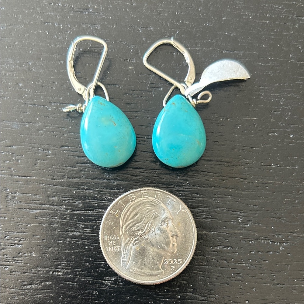 Turquoise Drop Earrings